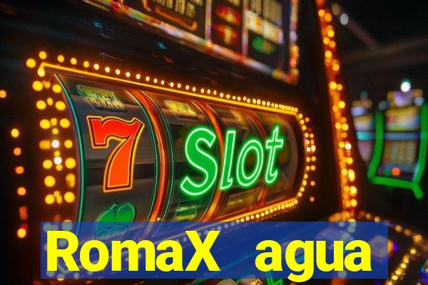 RomaX agua sanitaria fispq agua sanitaria romax